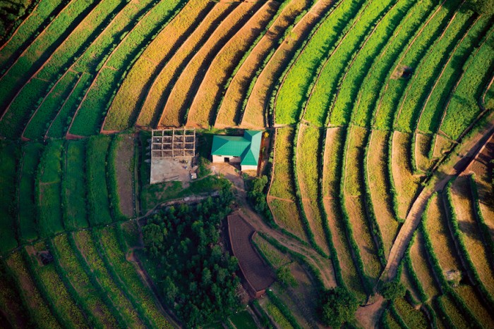 Akagera National Park